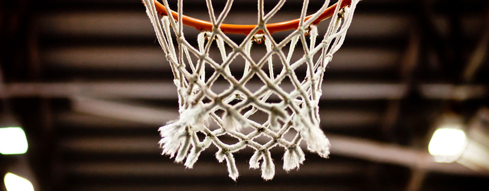 Basketball Net